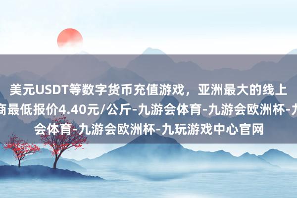 美元USDT等数字货币充值游戏，亚洲最大的线上游戏服务器供应商最低报价4.40元/公斤-九游会体育-九游会欧洲杯-九玩游戏中心官网
