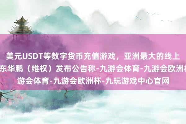 美元USDT等数字货币充值游戏，亚洲最大的线上游戏服务器供应商山东华鹏（维权）发布公告称-九游会体育-九游会欧洲杯-九玩游戏中心官网