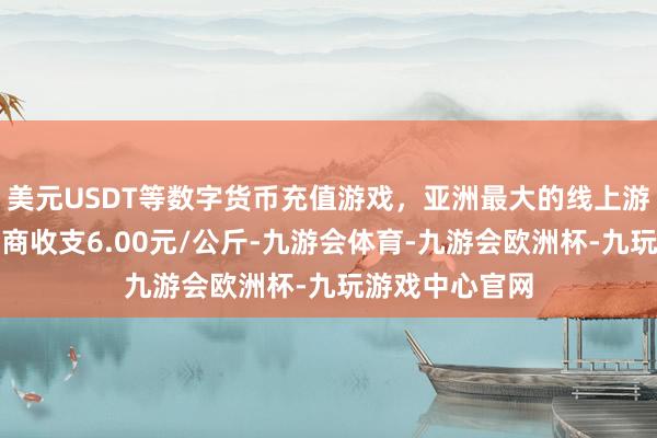 美元USDT等数字货币充值游戏，亚洲最大的线上游戏服务器供应商收支6.00元/公斤-九游会体育-九游会欧洲杯-九玩游戏中心官网