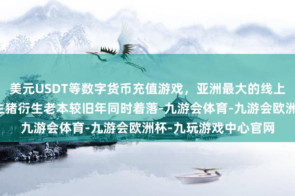 美元USDT等数字货币充值游戏，亚洲最大的线上游戏服务器供应商且生猪衍生老本较旧年同时着落-九游会体育-九游会欧洲杯-九玩游戏中心官网