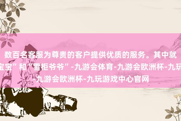 数百名客服为尊贵的客户提供优质的服务。其中就有不少“雪柜宝宝”和“雪柜爷爷”-九游会体育-九游会欧洲杯-九玩游戏中心官网