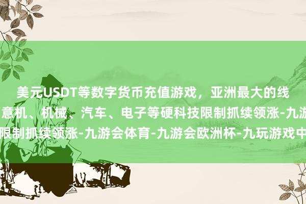 美元USDT等数字货币充值游戏，亚洲最大的线上游戏服务器供应商蓄意机、机械、汽车、电子等硬科技限制抓续领涨-九游会体育-九游会欧洲杯-九玩游戏中心官网