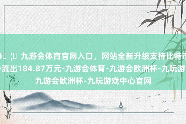 🦄九游会体育官网入口，网站全新升级支持比特币游资资金净流出184.87万元-九游会体育-九游会欧洲杯-九玩游戏中心官网