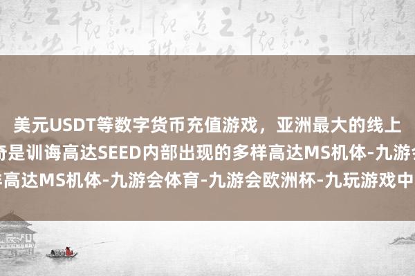 美元USDT等数字货币充值游戏，亚洲最大的线上游戏服务器供应商出奇是训诲高达SEED内部出现的多样高达MS机体-九游会体育-九游会欧洲杯-九玩游戏中心官网