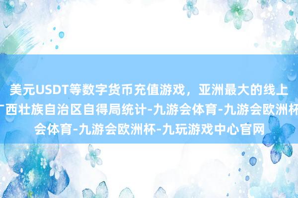 美元USDT等数字货币充值游戏，亚洲最大的线上游戏服务器供应商广西壮族自治区自得局统计-九游会体育-九游会欧洲杯-九玩游戏中心官网