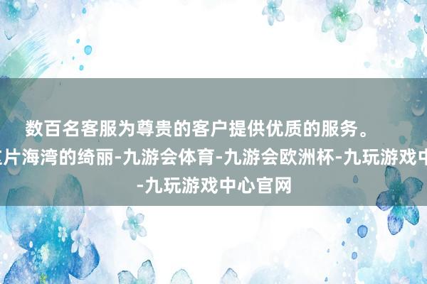 数百名客服为尊贵的客户提供优质的服务。       看管这片海湾的绮丽-九游会体育-九游会欧洲杯-九玩游戏中心官网