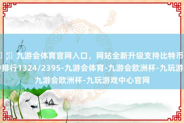 🦄九游会体育官网入口，网站全新升级支持比特币在同类基金中排行1324/2395-九游会体育-九游会欧洲杯-九玩游戏中心官网