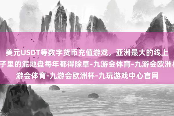 美元USDT等数字货币充值游戏，亚洲最大的线上游戏服务器供应商院子里的泥地盘每年都得除草-九游会体育-九游会欧洲杯-九玩游戏中心官网