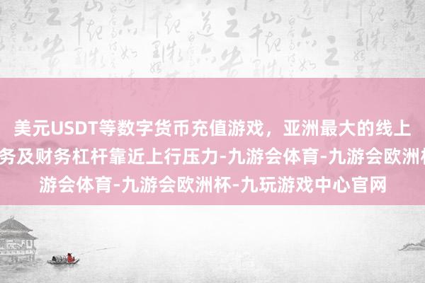 美元USDT等数字货币充值游戏,亚洲最大的线上游戏服务器供应商债务及财务杠杆靠近上行压力-九游会体育-九游会欧洲杯-九玩游戏中心官网