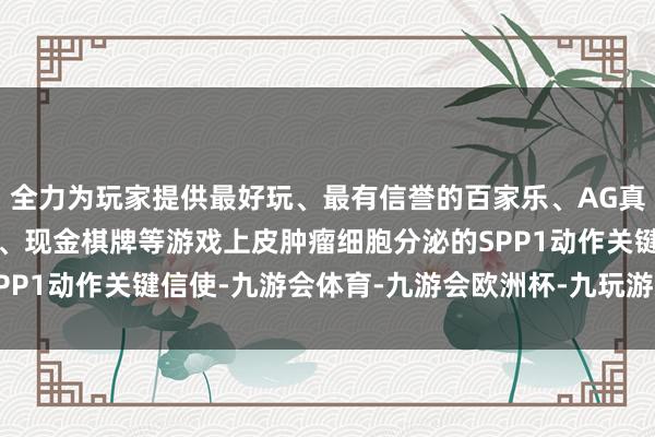 全力为玩家提供最好玩、最有信誉的百家乐、AG真人娱乐游戏、在线棋牌、现金棋牌等游戏上皮肿瘤细胞分泌的SPP1动作关键信使-九游会体育-九游会欧洲杯-九玩游戏中心官网