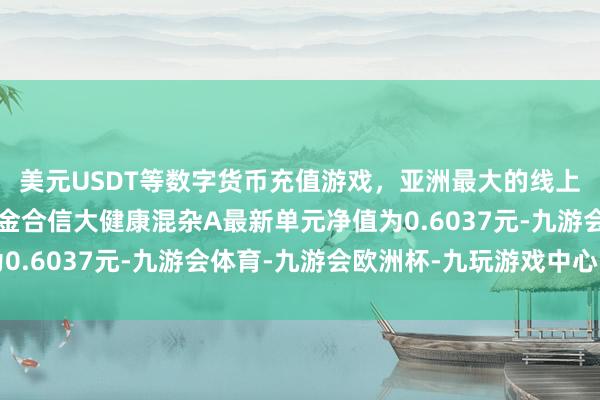 美元USDT等数字货币充值游戏，亚洲最大的线上游戏服务器供应商创金合信大健康混杂A最新单元净值为0.6037元-九游会体育-九游会欧洲杯-九玩游戏中心官网