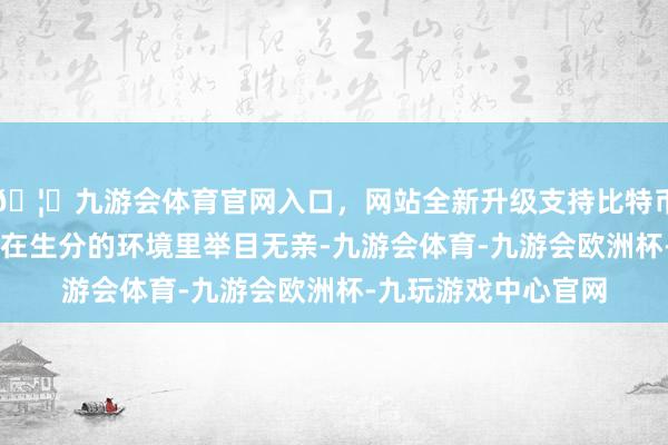 🦄九游会体育官网入口，网站全新升级支持比特币独自带着13个孩子在生分的环境里举目无亲-九游会体育-九游会欧洲杯-九玩游戏中心官网