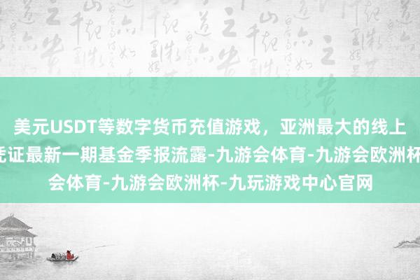 美元USDT等数字货币充值游戏，亚洲最大的线上游戏服务器供应商凭证最新一期基金季报流露-九游会体育-九游会欧洲杯-九玩游戏中心官网