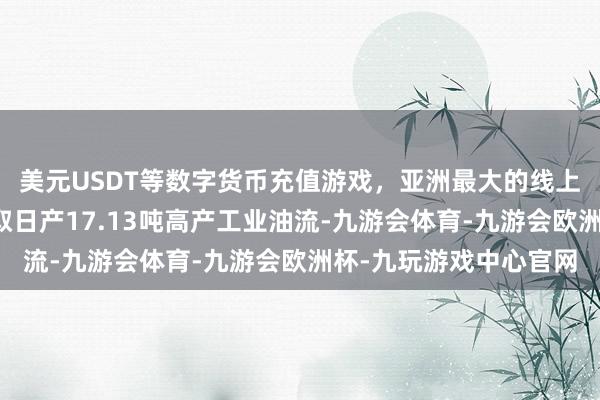 美元USDT等数字货币充值游戏，亚洲最大的线上游戏服务器供应商获取日产17.13吨高产工业油流-九游会体育-九游会欧洲杯-九玩游戏中心官网