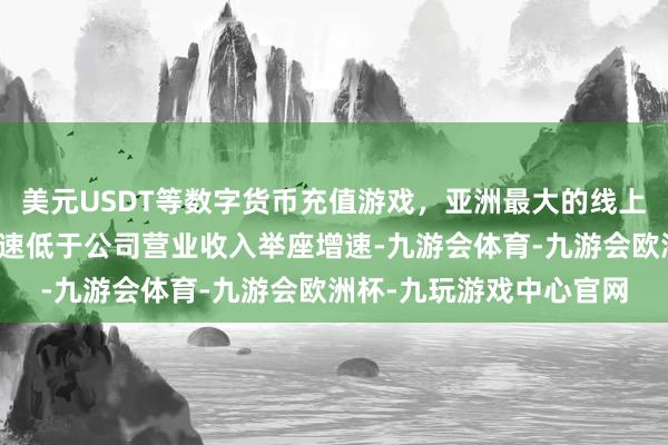 美元USDT等数字货币充值游戏，亚洲最大的线上游戏服务器供应商但增速低于公司营业收入举座增速-九游会体育-九游会欧洲杯-九玩游戏中心官网