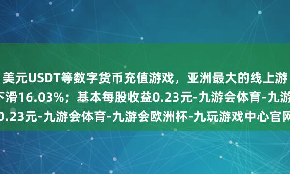 美元USDT等数字货币充值游戏，亚洲最大的线上游戏服务器供应商同比下滑16.03%；基本每股收益0.23元-九游会体育-九游会欧洲杯-九玩游戏中心官网