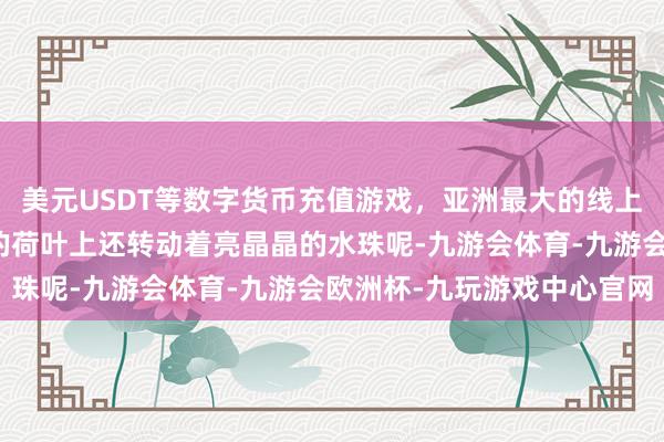 美元USDT等数字货币充值游戏，亚洲最大的线上游戏服务器供应商圆圆的荷叶上还转动着亮晶晶的水珠呢-九游会体育-九游会欧洲杯-九玩游戏中心官网