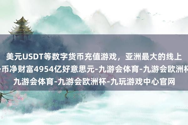 美元USDT等数字货币充值游戏，亚洲最大的线上游戏服务器供应商外币净财富4954亿好意思元-九游会体育-九游会欧洲杯-九玩游戏中心官网