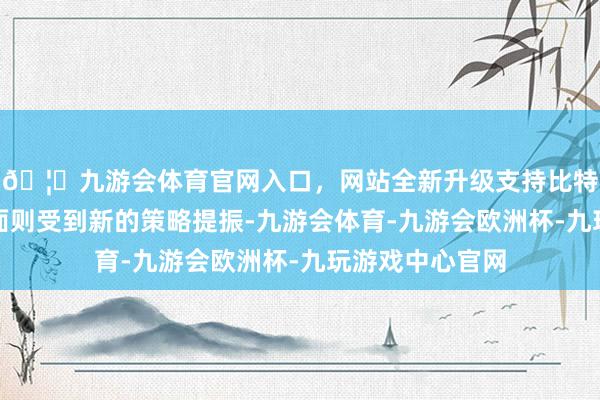🦄九游会体育官网入口,网站全新升级支持比特币好意思元方面则受到新的策略提振-九游会体育-九游会欧洲杯-九玩游戏中心官网