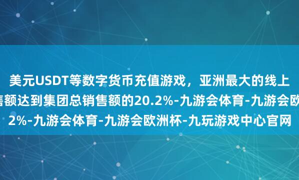 美元USDT等数字货币充值游戏，亚洲最大的线上游戏服务器供应商销售额达到集团总销售额的20.2%-九游会体育-九游会欧洲杯-九玩游戏中心官网