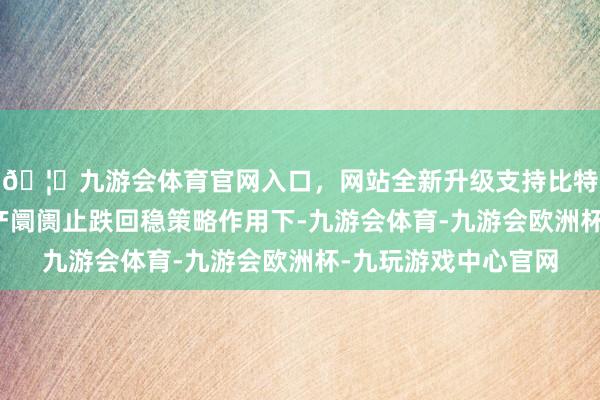 🦄九游会体育官网入口，网站全新升级支持比特币在各项促进房地产阛阓止跌回稳策略作用下-九游会体育-九游会欧洲杯-九玩游戏中心官网