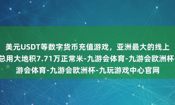 美元USDT等数字货币充值游戏，亚洲最大的线上游戏服务器供应商总用大地积7.71万正常米-九游会体育-九游会欧洲杯-九玩游戏中心官网