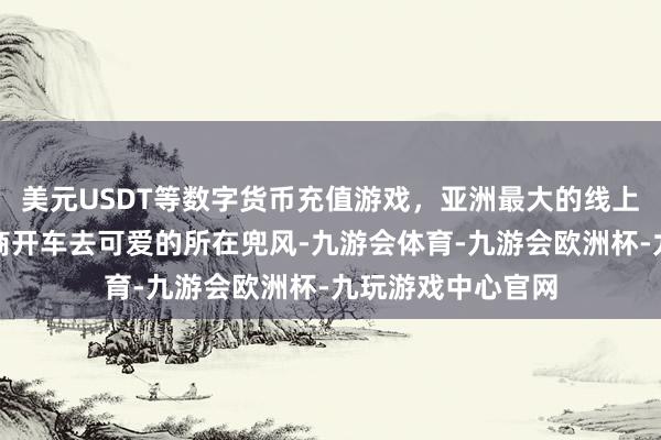 美元USDT等数字货币充值游戏，亚洲最大的线上游戏服务器供应商开车去可爱的所在兜风-九游会体育-九游会欧洲杯-九玩游戏中心官网